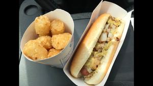 New York Dog