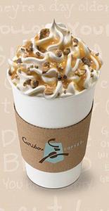 Turtle Mocha (Medium)