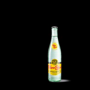 Topo Chico Mineral Water (355ml)