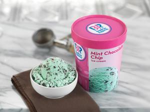 Mint Chocolate Chip Ice Cream (Kids Scoop)