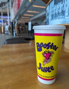 Canadian Colada Smoothie (Small)