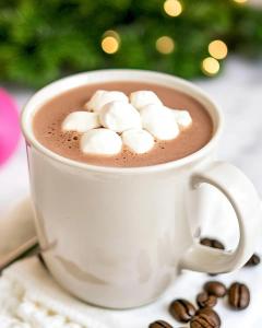 Hot Chocolate (10 oz)