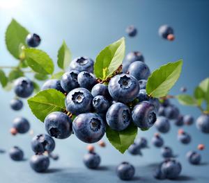 Blueberry Muffin