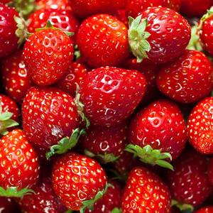 Strawberry Sundae