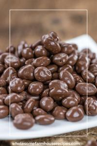 Chocolate-Covered Raisins (Theatre Box)