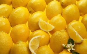 Lemon-Lime Soda (Small)