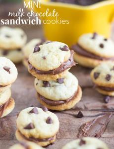Messy Cookie Sandwich