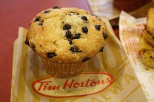 Chocolate Chip Muffin
