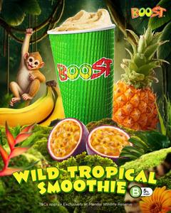 Tropical Punch Smoothie (Original)