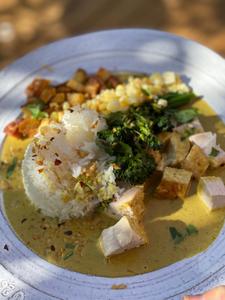 Yellow Curry with Chicken and Rice