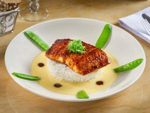 Miso Salmon