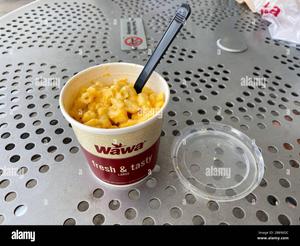 Macaroni and Cheese (Medium)