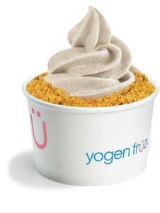 Vanilla Frozen Yogurt (Medium Cup)