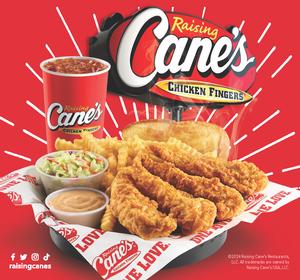 4 Chicken Fingers