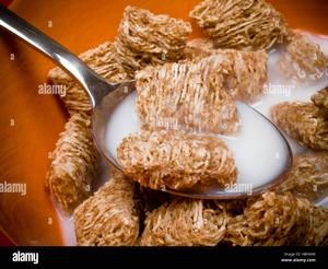 Shredded Wheat with Milk