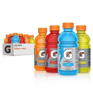 Gatorade Fruit Punch (591 ml Bottle)