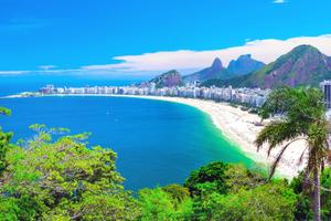 Brazil Nuts (6 Nuts)