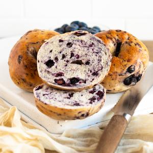 Blueberry Bagel