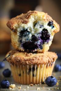 Blueberry Muffin (Medium)