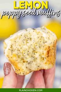 Plain or Poppy Seed Muffin (Medium)