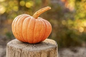 Pumpkin Bread (1 Slice)