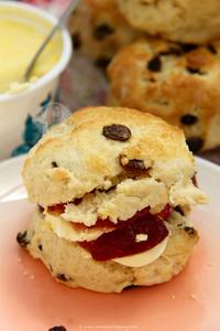 Fruit Scone