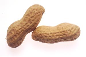 Peanut Butter Sandwich Crackers (1 Pack)