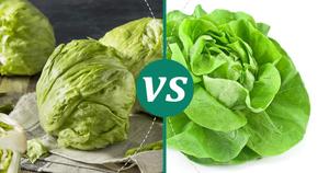 Lettuce, Iceberg or Leaf (2 Cups)