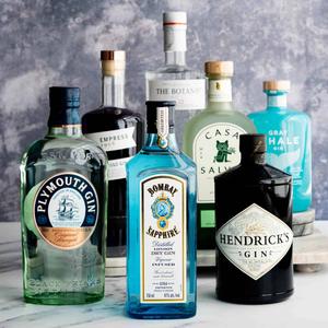 Gin and Tonic