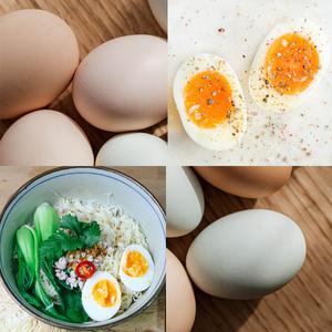 Hard-Boiled Egg